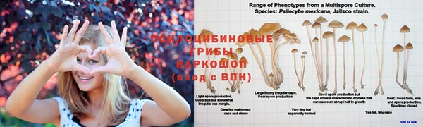 скорость Сатка