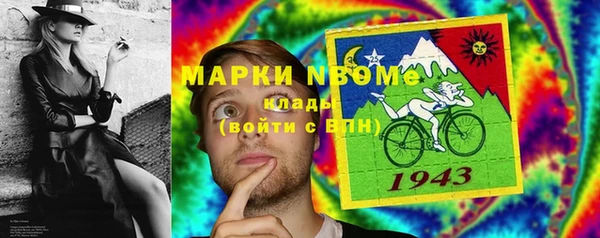 сатива Ростов
