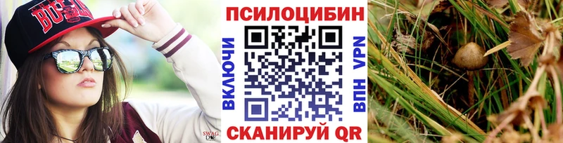 Галлюциногенные грибы Psilocybe  hydra маркетплейс  Рыбинск 