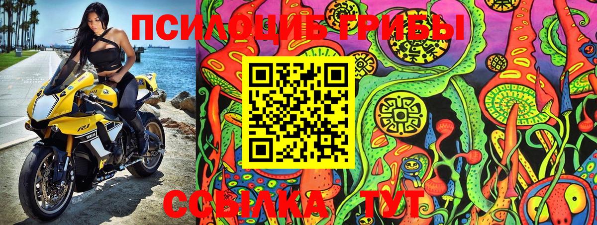 Плюхи  Бошки Шишки  Конопля  CBD масло  Альфа ПВП  Рыбинск  Молли  Кокаин  Вход с VPN  Меф 