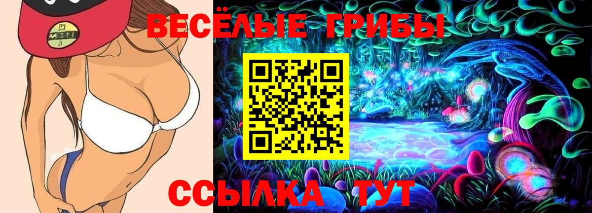 Галлюциногенные грибы GOLDEN TEACHER Рыбинск
